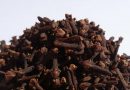 benefits of cloves for preventing disease