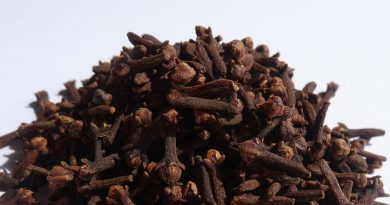 benefits of cloves for preventing disease