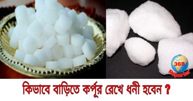 how to become rich by keeping camphor at home