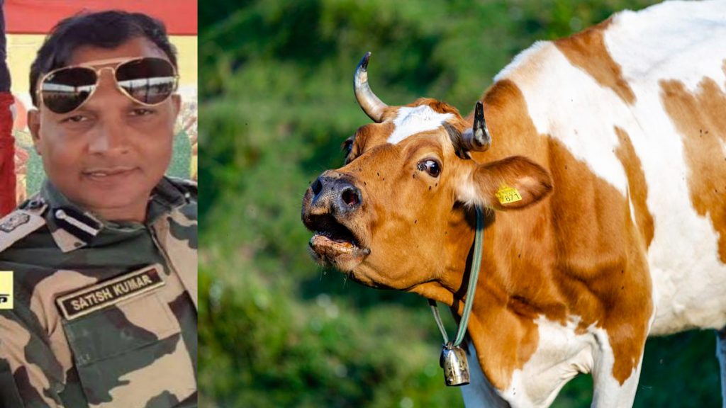 By helping cow smuggling BSF Commander Satish Kumar makes 100 crores rupees wealth