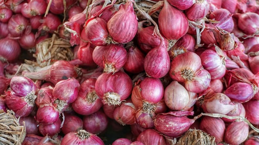 Enforcement branch raids Kolkata to stop unethical stockpiling of onions