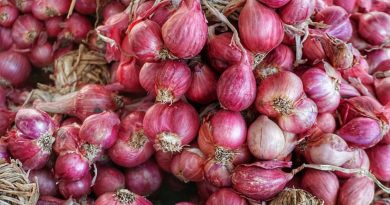 Enforcement branch raids Kolkata to stop unethical stockpiling of onions